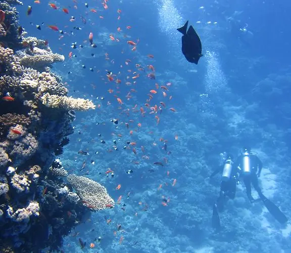 Mobile Homes Romantik Holiday park